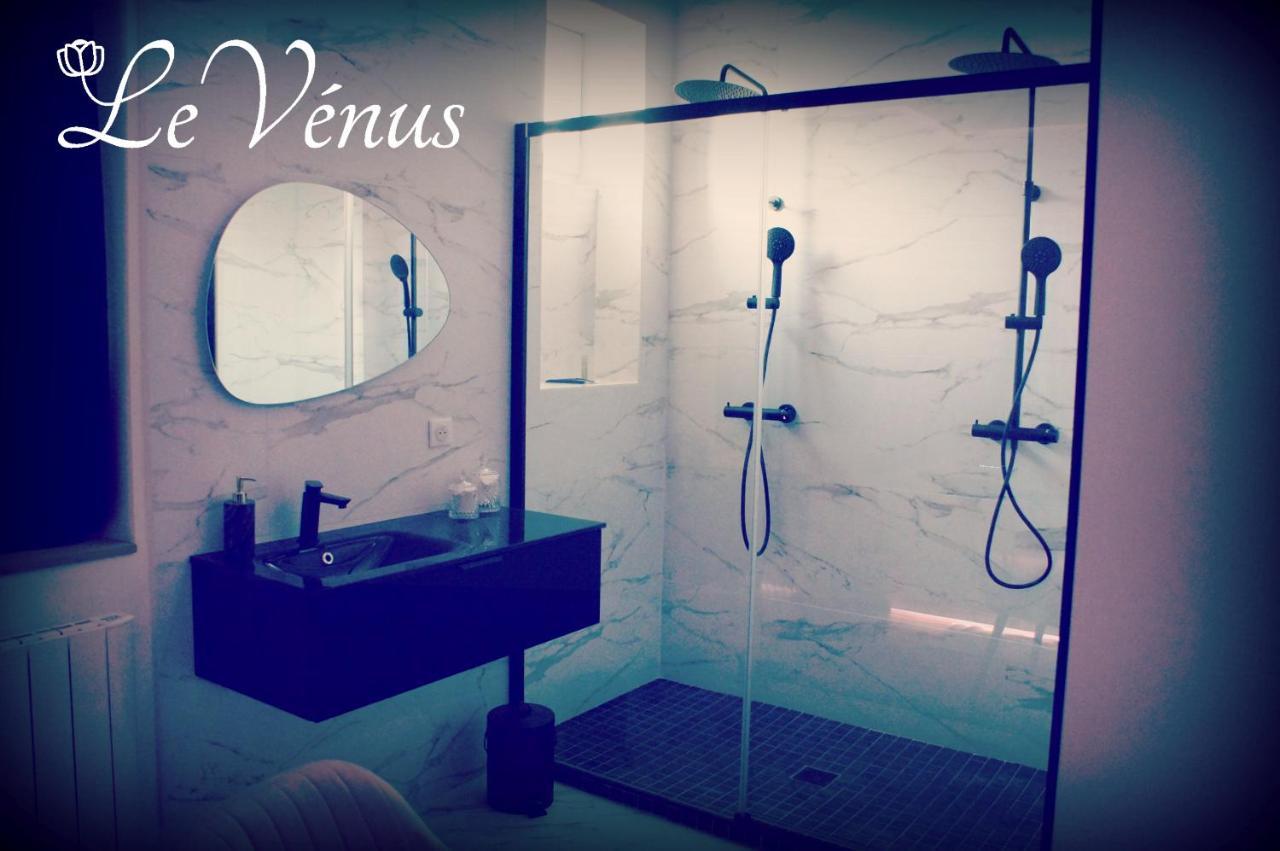 Le Venus - Appartement Spa Privatif Balneo Sauna Dijon Exterior foto